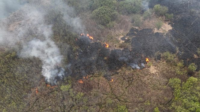 Wołomin: Płonie Natura 2000. Dym widać z wielu kilometrów