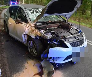 Kolizja na trasie Gryżyna–Racot. Kierowca ukarany