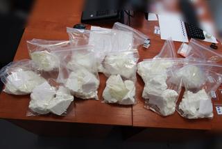 Śląskie: Piękny ogród działkowy krył tajemnicę. Zamiast kwiatów, amfetamina