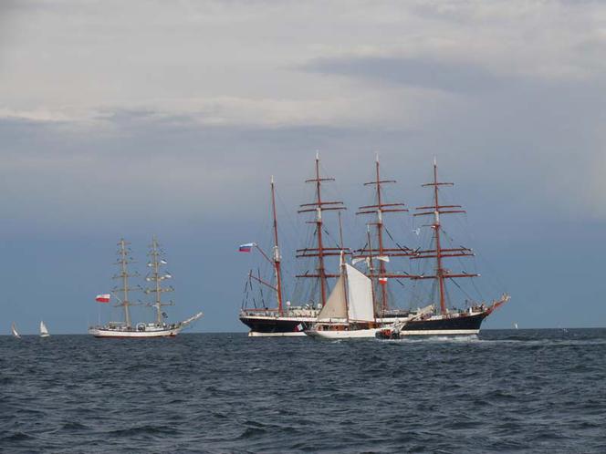 ParadaZagleGdyni2014_FotMZwierz_700940