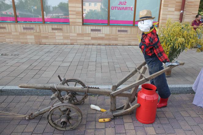 Dożynki miejskie w Tychach