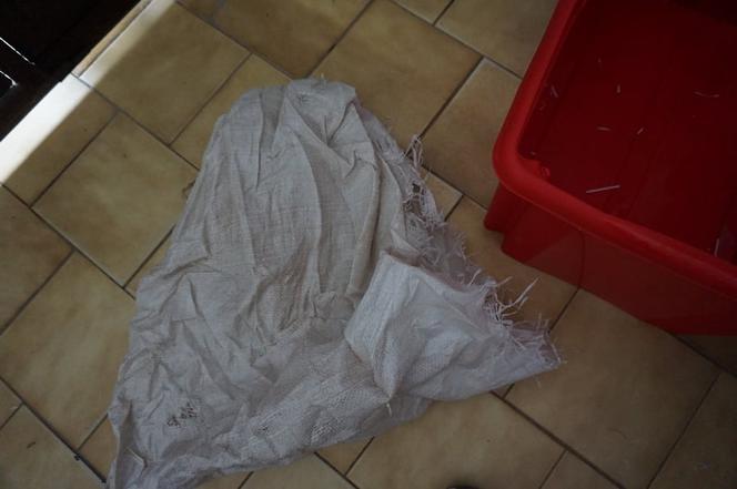 Pracownicy KTOZ podzielili się w sieci szokującymi zdjęciami