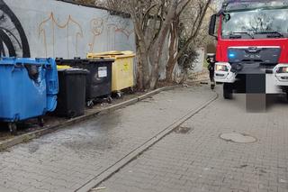 Strażnicy zajmowali się szczurami, złapali seryjnego podpalacza