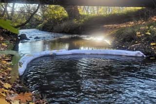Na Białusze w Krakowie pojawiły się łapacze śmieci