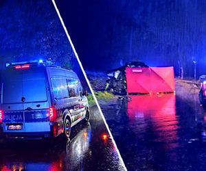 Citroen rozbił się na drzewie! Kierowca i pasażer nie żyją