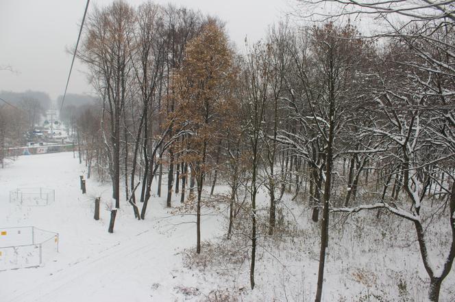 "Elka" w Parku Śląskim. Widok z góry