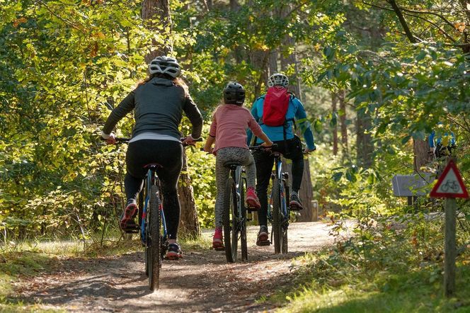 Najpiękniejsze trasy rowerowe w Wielkopolsce