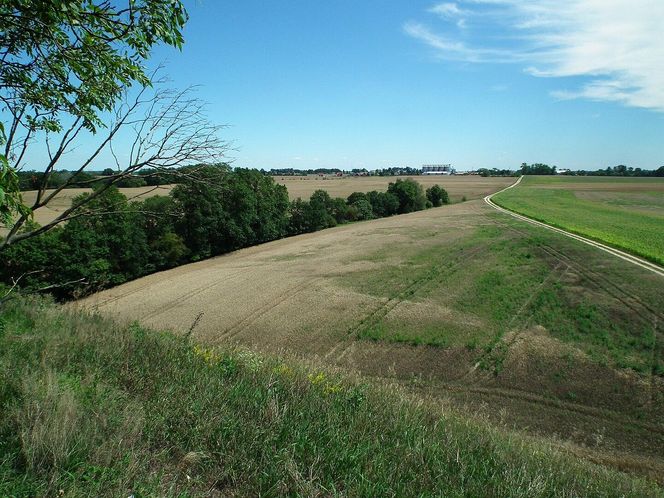 Kałdus