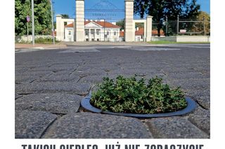 „Takich Siedlec już nie zobaczycie” – wystawa fotografii Sławomira Kordaczuka