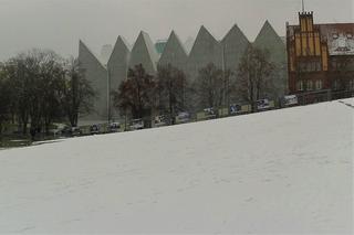 Pierwszy śnieg w Szczecinie