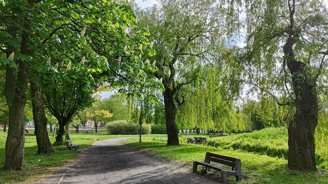 Park Antoniuk