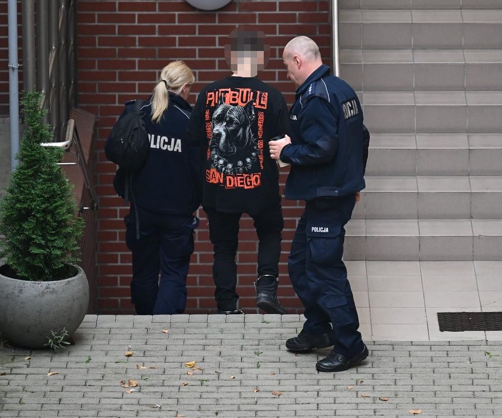 Koniec procesu Pawła F., który skrzywdził 11-latkę