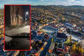 Dziki w centrum małopolskiego miasta. Urządziły sobie kilkugodzinny spacer