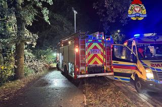 Śmiertelny wypadek przy Szosie Bydgoskiej w Toruniu