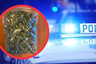 Aż 50 działek marihuany znalazła policja w mieszkaniu młodego mężczyzny