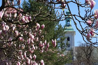 Wenecja południa, czyli Cieszyn na zdjęciach