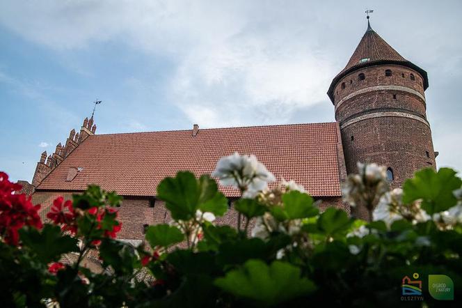 Szlaki Zamków Gotyckich.