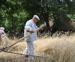 Tak wyglądało kiedyś żniwowanie na polskiej wsi