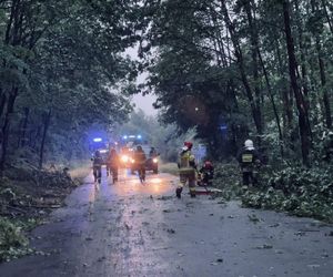Połamane drzewa i zerwane dachy. Przez woj. lubelskie przeszły nocne nawałnice. Zobacz zdjęcia 
