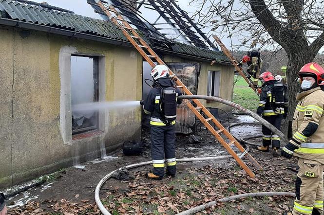 Pożar zabrał im dobytek całego życia. Rodzina z trójką dzieci potrzebuje pomocy 