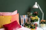 Kalanchoe w sypialni