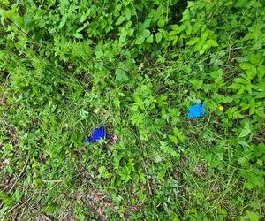 14-latek zginął rażony prądem. Dramat w Krośnie [GALERIA]