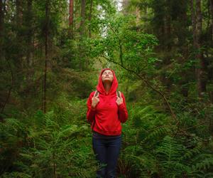 Shinrin-yoku, czyli terapeutyczne kąpiele leśne