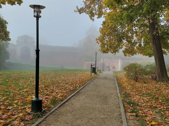 Zamojski Park jesienią