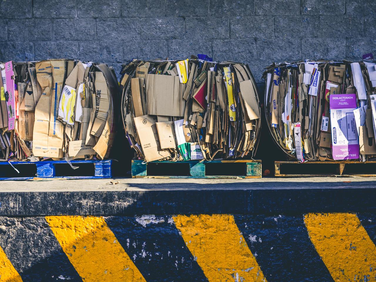 Selektywna zbiórka odpadów: fakty i mity wokół segregacji śmieci