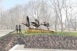 Warmińskie Żurawie opanują Olsztyn. Ściągnie je wielki artysta