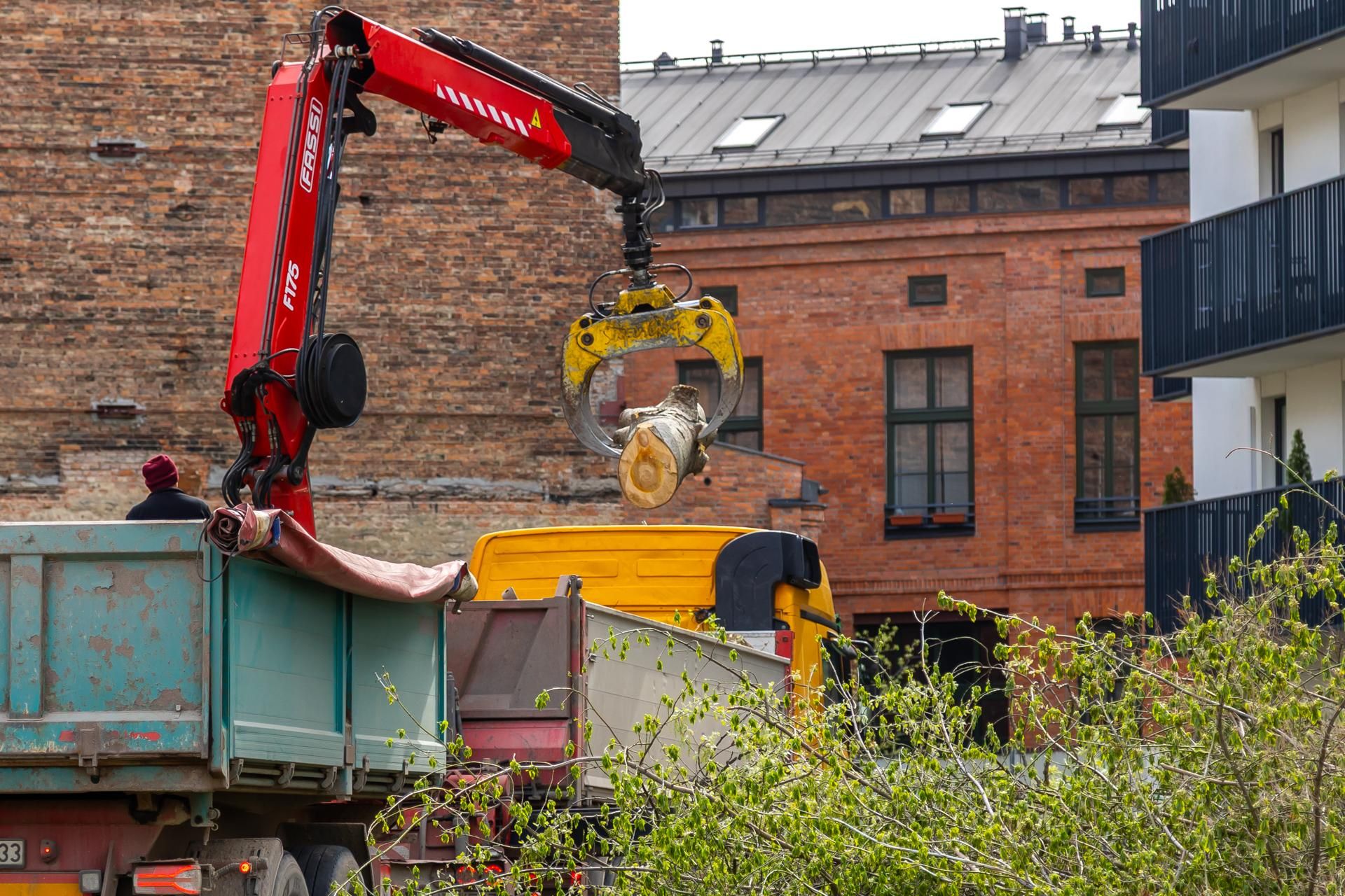 Nielegalna wycinka drzew przy ul. Radzymińskiej 14 w Warszawie