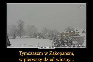 Memy na pierwszy dzień wiosny