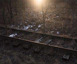 Lokomotywa krzyczy głosem bitego człowieka. Obchody 80. rocznicy wyzwolenia Auschwitz