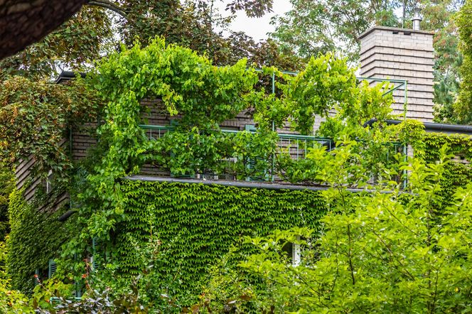 Willa Romualda Gutta na Kolonii Profesorskiej w Warszawie