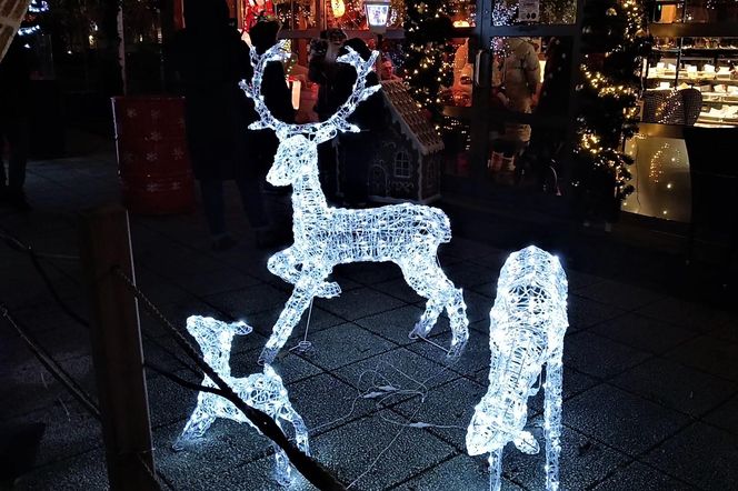 Skromne iluminacje świąteczne w Szczecinie