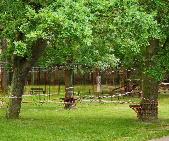 Budują park linowy nad jeziorem. Nowa atrakcja niebawem na Mazurach [ZDJĘCIA]