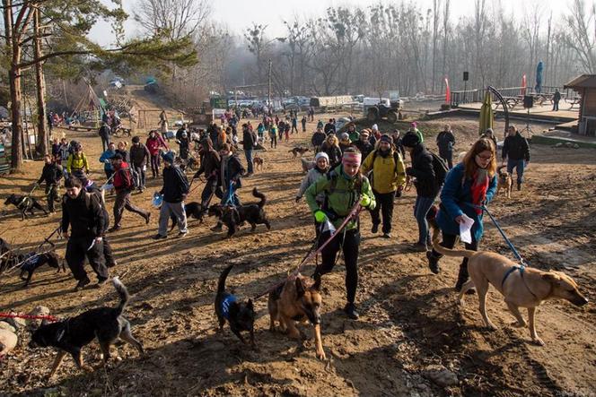 Już w niedzielę  31 stycznia w parku Kolibki spotkają się fani dogtrekkingu