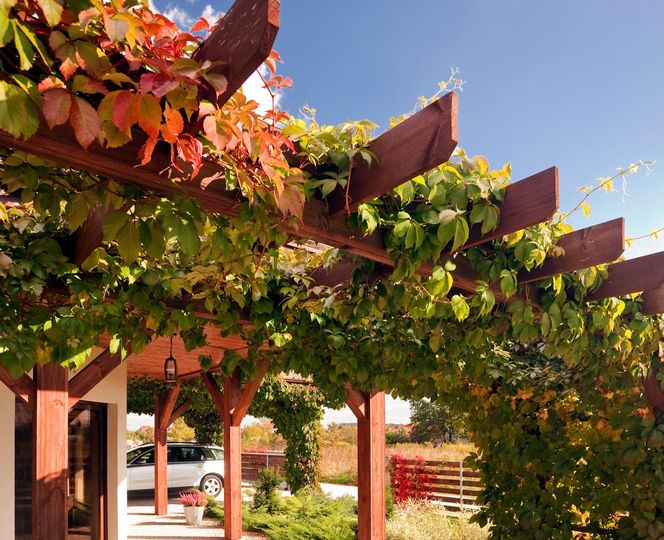 Pergola