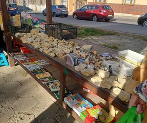 Poprzednie edycje Jaworznickiego Pchlego Targu 