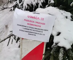 Trudne warunki na Dolnym Śląsku. Te drogi i lasy zostały zamknięte