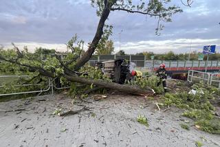 Wypadek na DTŚ. Samochód dostawczy wypadł z drogi. Jedna osoba poszkodowana