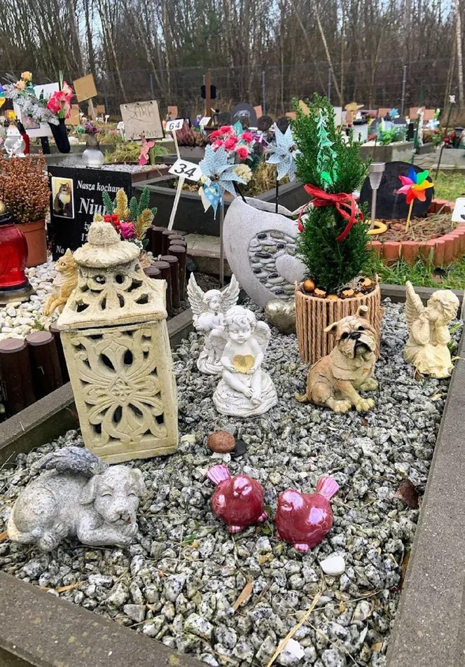 W całym woj. śląskim jest tylko jeden taki cmentarz. Miejsce, gdzie pamięć o pupilu nie umiera