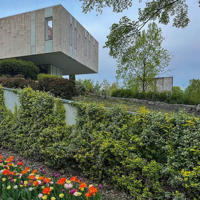 Ambasada Niderlandów w Warszawie