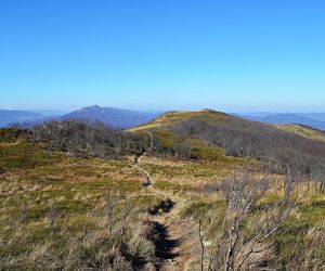 Bieszczady za Tatrami, ale przed Bałtykiem. Oto ukochane miejsca Polaków na wakacje 