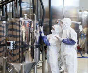 Zagrożenia biologiczne i chemiczne w przemyśle: identyfikacja i prewencja