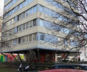 Trzonolinowiec we Wrocławiu