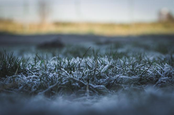 Słoneczny poniedziałek, ale z przymrozkami. Przyjemne Walentynki [Pogoda Toruń 14.02.2022]