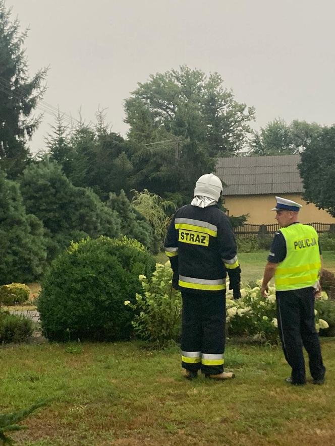 Potężna nawałnica przeszła przez woj. lubelskie. Straty są ogromne, jedna osoba jest ranna [ZDJĘCIA]