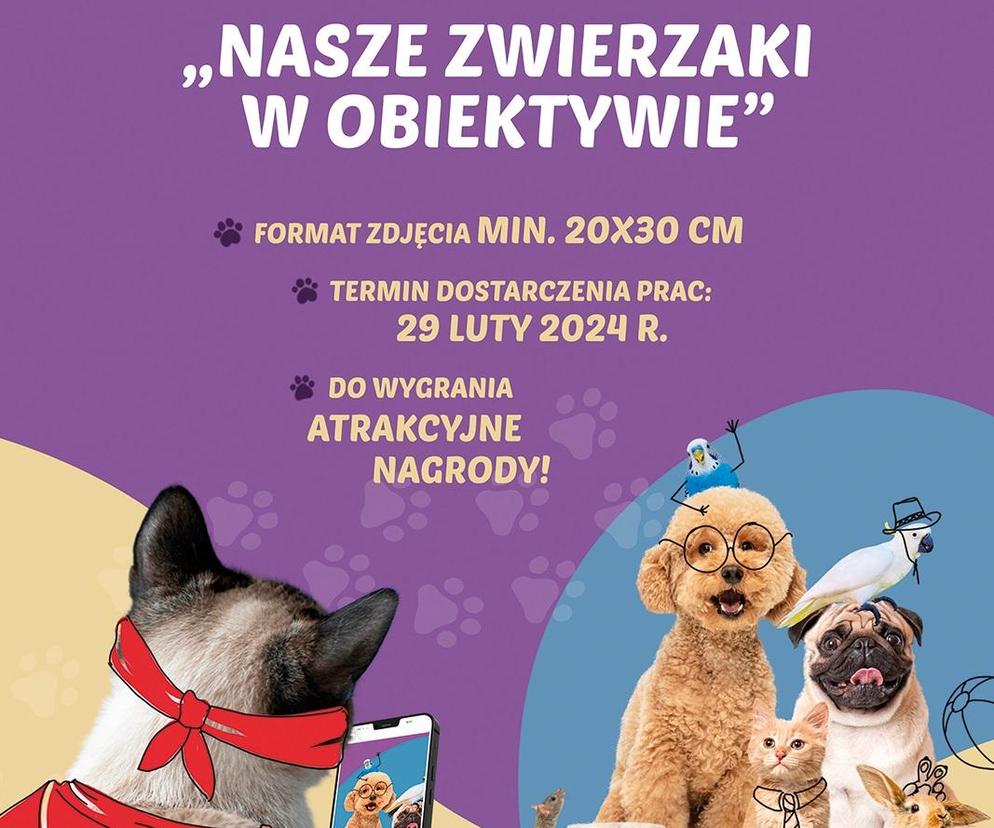 zwierzaki