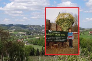 Największego grzyba świata znaleziono w Małopolsce. Mieszkańcy postawili mu pomnik!